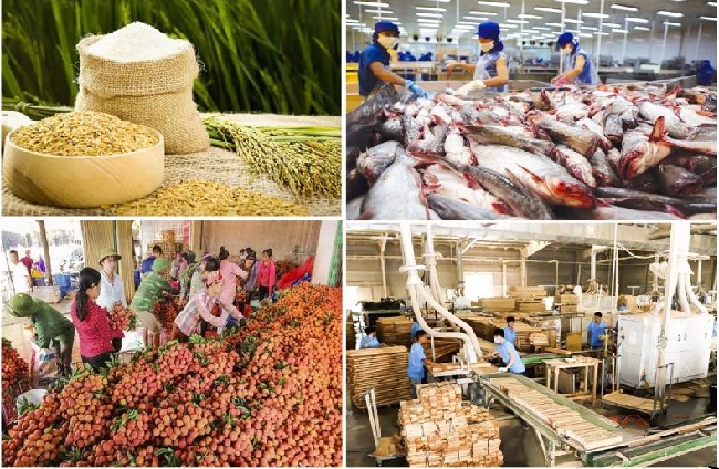 Tăng tỷ trọng sản phẩm chế biến sâu, có giá trị kinh tế caođối với nhóm nông lâm thủy sản.