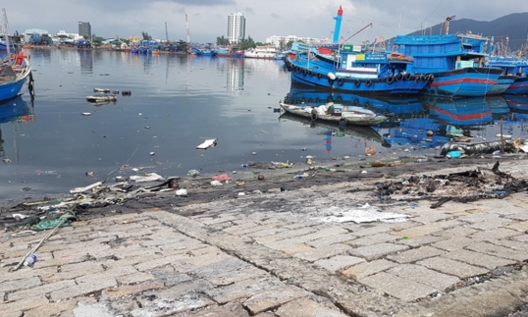 khu vực Âu thuyền và cảng cá Thọ Quang