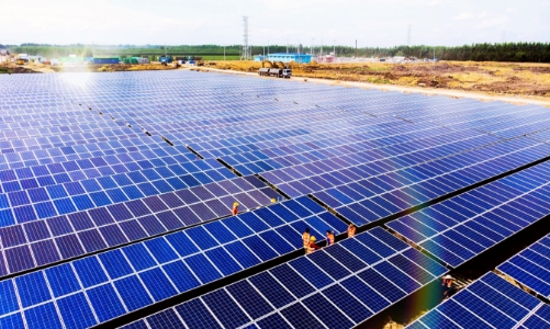 Bamboo Capital khẳng định tăng trưởng tích cực trong quý 2/2022 