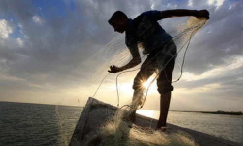 Khối ngoại và tổ chức trong nước chi 5.400 tỷ bắt đáy trong tuần VN-Index 