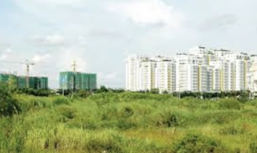 Bà Rịa-Vũng Tàu thu hồi 39 ha đất của dự án khu đô thị mới Nam Quốc lộ 51 do chậm triển khai