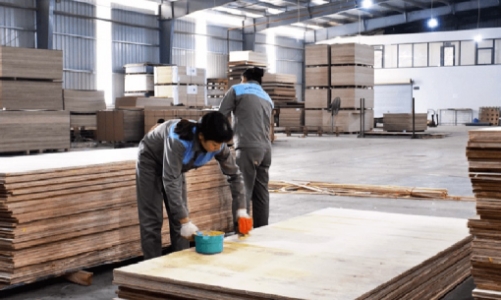 Hoa Kỳ lùi thời hạn kết luận điều tra đối với gỗ dán cứng của Việt Nam