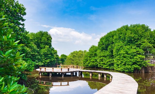 Thiên nhiên tại Wyndham Grand Lagoona Bình Châu được chuyên gia đánh giá có chỉ số năng lượng cao.