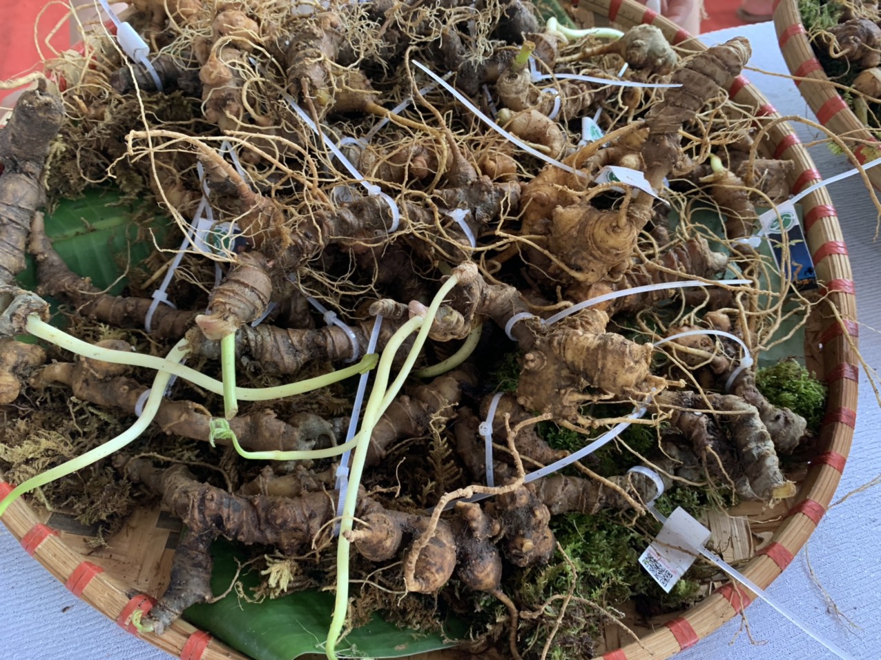 Một mẹt s&acirc;m như thế n&agrave;y c&oacute; gi&aacute; cả trăm triệu đồng. Nếu kh&ocirc;ng t&igrave;m mua tại hội chợ được ch&iacute;nh quyền tổ chức th&igrave; rất dễ mua phải s&acirc;m giả được rao b&aacute;n tr&ecirc;n c&aacute;c trang mạng x&atilde; hội.&nbsp;