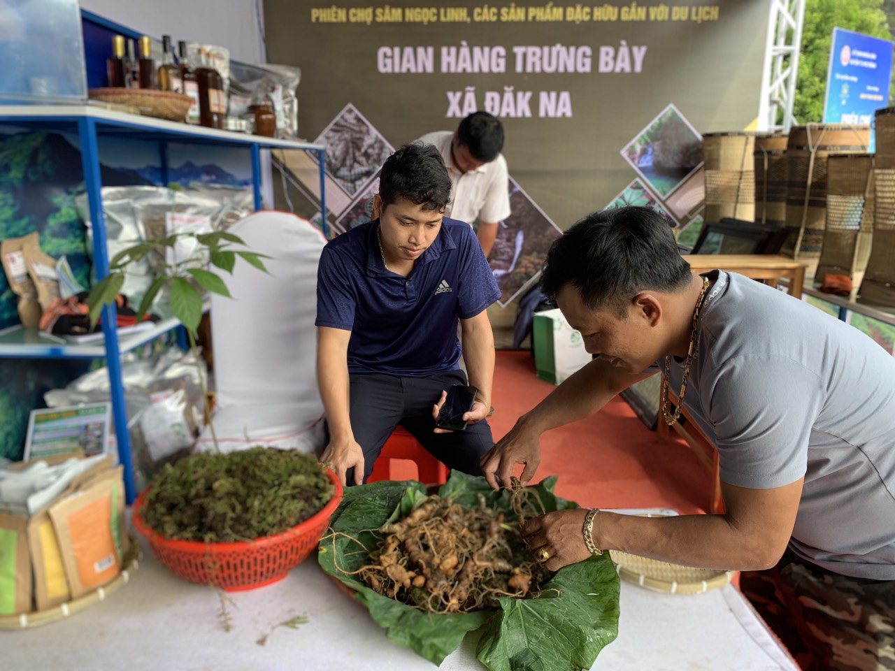 S&acirc;m Ngọc Linh được định hướng ph&aacute;t triển th&agrave;nh sản phẩm chiến lược của Kon Tum trong tương lai gần.&nbsp;