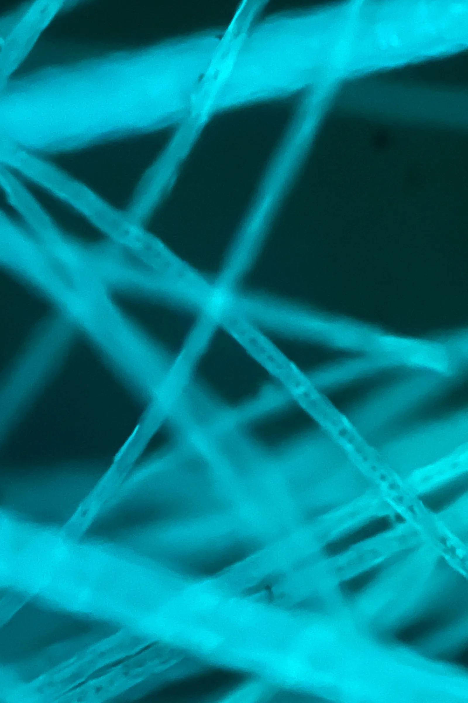 Dự &aacute;n mới mong muốn tạo ra một loại th&ocirc;ng th&uacute; nh&acirc;n tạo&nbsp;bền vững hơn bằng c&aacute;ch sử dụng keratin &ndash; một loại protein ch&iacute;nh c&oacute; trong t&oacute;c.