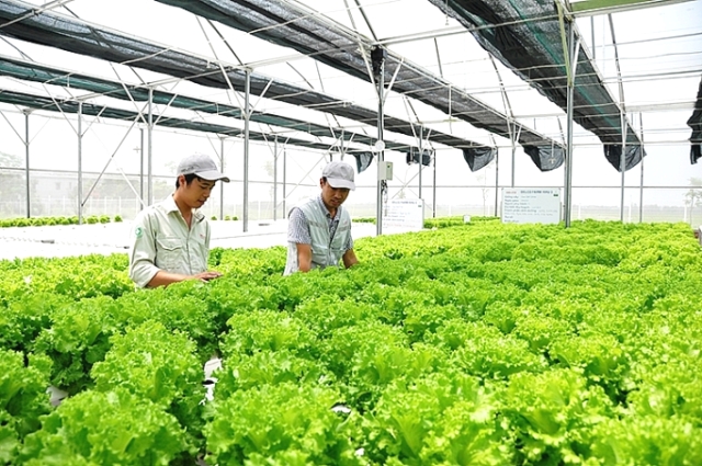 Các doanh nghiệp tạo tác động xã hội sẽ được lựa chọn để xây dựng và thử nghiệm mô hình kinh doanh mới.