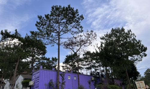 Home stay, biệt thự mọc lên như nấm sau mưa ở Măng Đen 