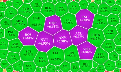 Dòng tiền hạn chế, cổ phiếu nhỏ lợi đà tăng cả loạt