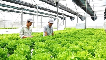 Covid-19 adaptation program for SIBs launched