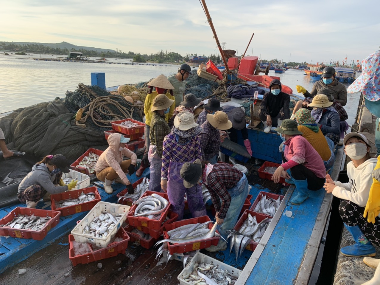 Làm việc vất vả trong ngày nghỉ lễ nhưng ngư dân cũng như tiểu thương đều hồ hởi. "Đi biển thuận lợi, hàng về được thu mua với giá hợp lý, vậy mà mừng rồi, còn hơn những ngày không thể ra khơi, không thể họp chợ vì Covid -19", anh Bùi Văn Công, thuyền viên tàu QN 91710 chia sẻ.