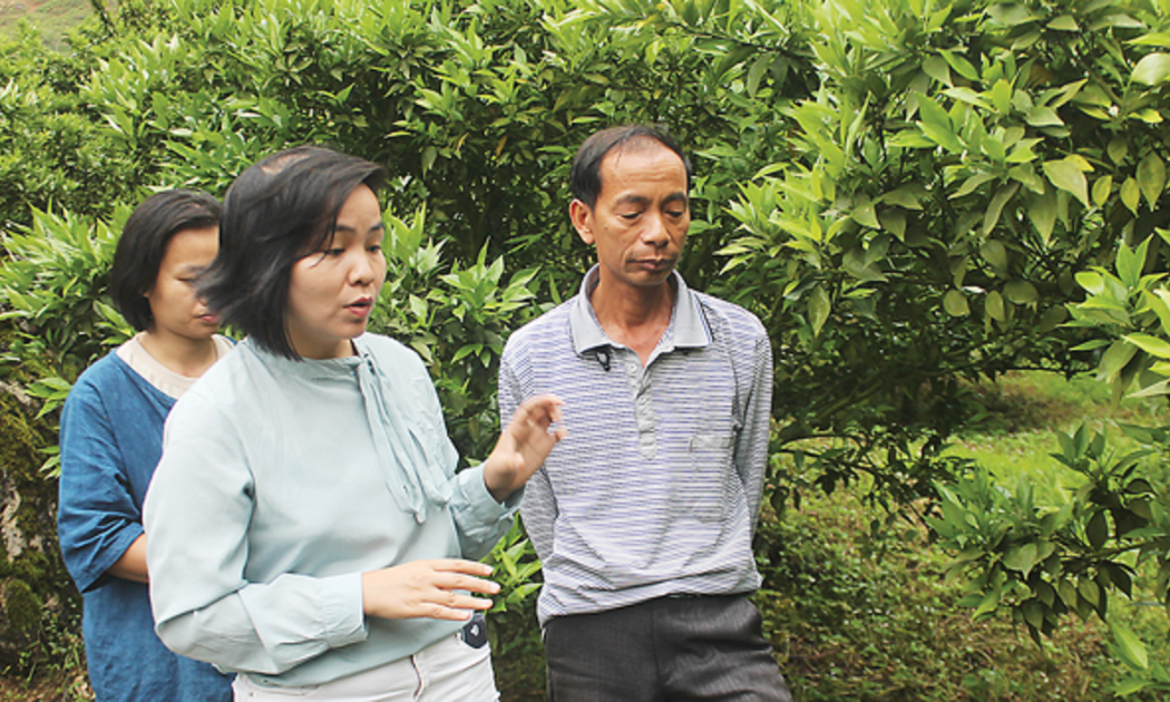 Chị Nguyễn Thị Thu - CEO của MEVI trao đổi kinh nghiệm kỹ thuật chăm sóc cây ăn quả với nông dân Sơn La.