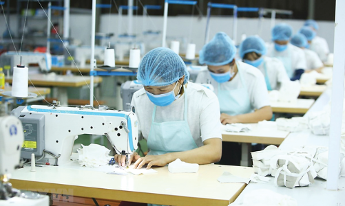 Doanh nghiệp lo đứt nguồn cung nguyên phụ liệu