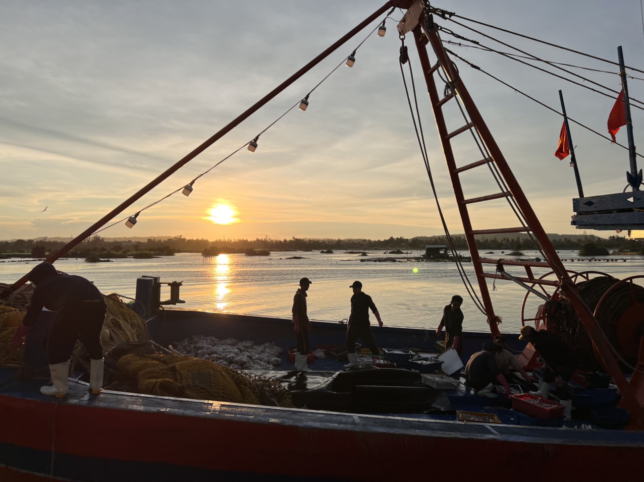 Theo các chủ tàu, những ngày này thời tiết đang khá tốt nên không kể nghỉ lễ, sau mỗi chuyến biển, các thuyền viên chỉ được nghỉ ngơi rất ít rồi tiếp tục ra khơi để bù cho những ngày mưa bão trong các tháng 7,8 sắp tới.