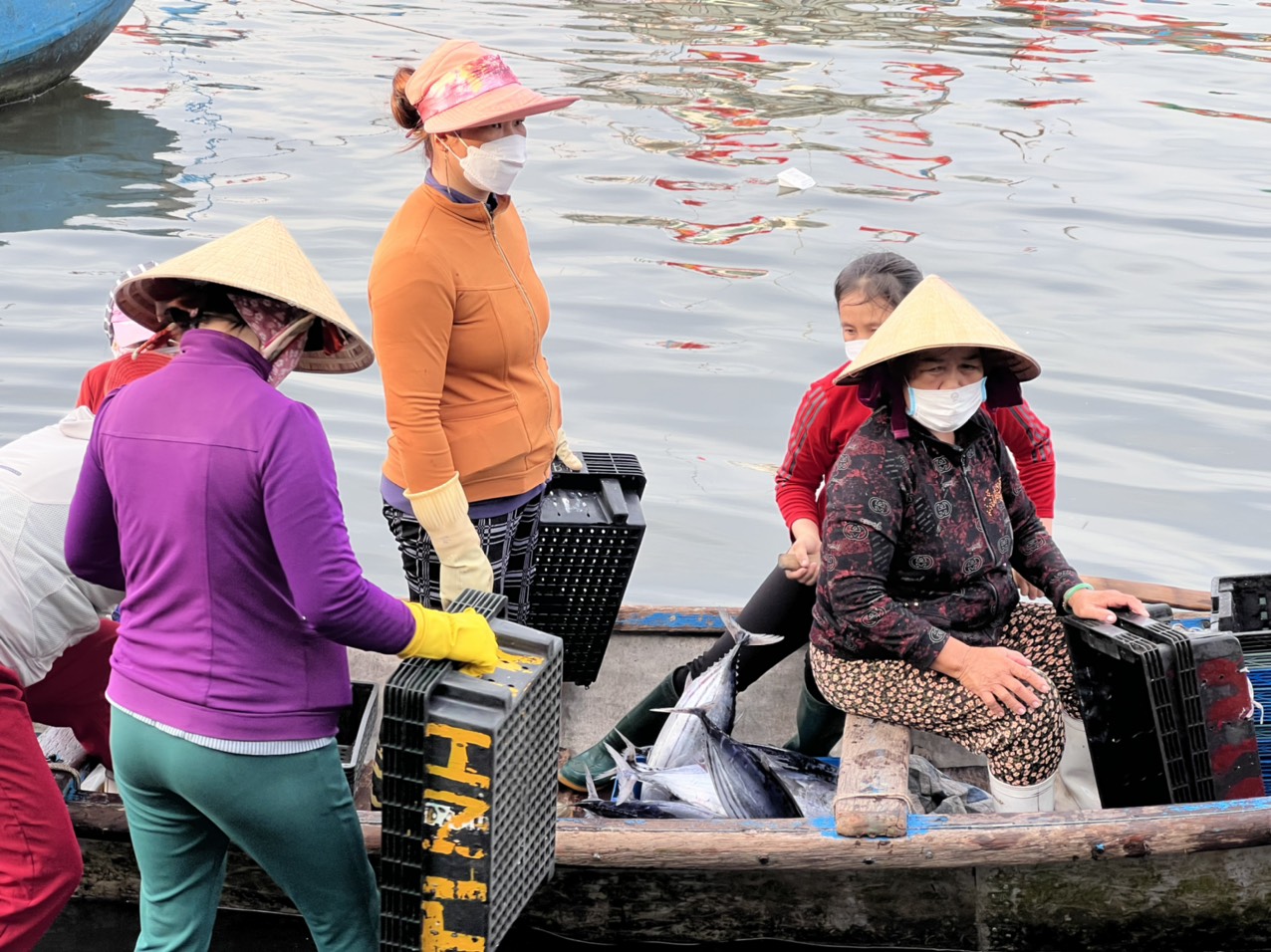 Cá ngừ là một mặt hàng được các tiểu thương tranh nhau thu mua. Để đánh bắt được loại cá này, các tàu phải có công suất lớn và đánh bắt ở những ngư trường xa hơn.