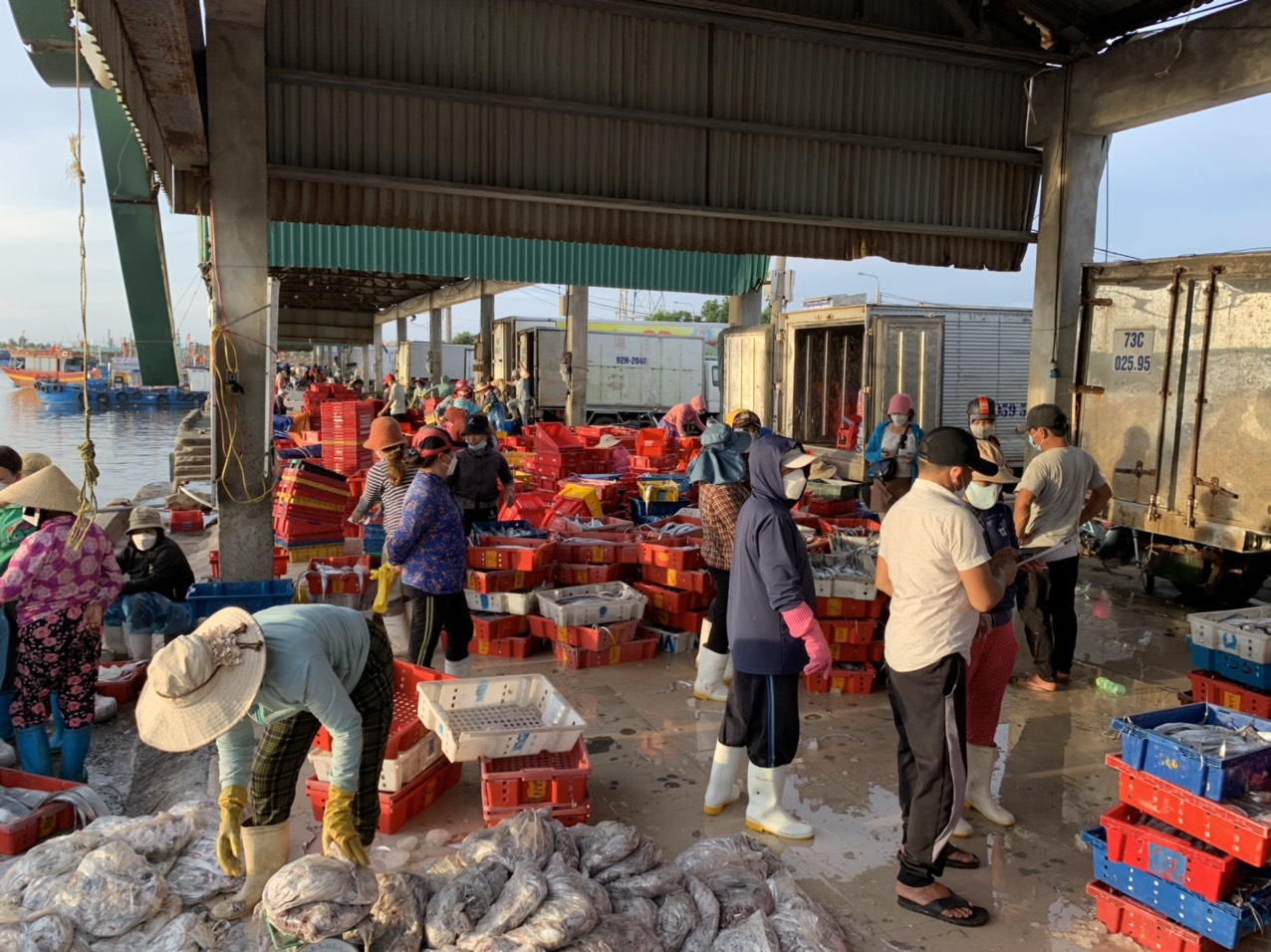 30/4, hay 1/5 là những ngày nhộn nhịp hơn thường lệ tại cảng cá Sa Kỳ, vì những ngày này, lượng hải sản được tiêu thụ nhiều hơn, vì thấy, các chuyến biển của ngư dân cũng hối hả, khẩn trương hơn.