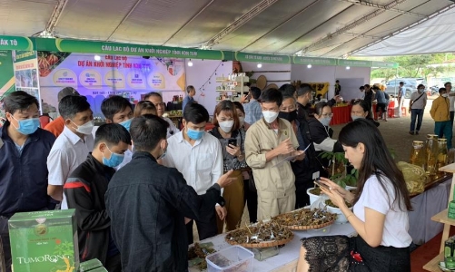 Làm gì để sâm Ngọc Linh xuất khẩu đạt tỷ đô?