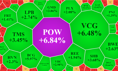 Thị trường rung lắc mạnh, cổ phiếu dầu khí tăng vượt trội