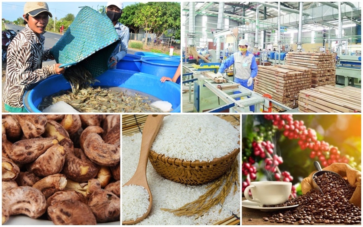 Ngành nông nghiệp đã có 5 sản phẩm/nhóm sản phẩm có giá trị kim ngạch đạt trên 1 tỷ USD.