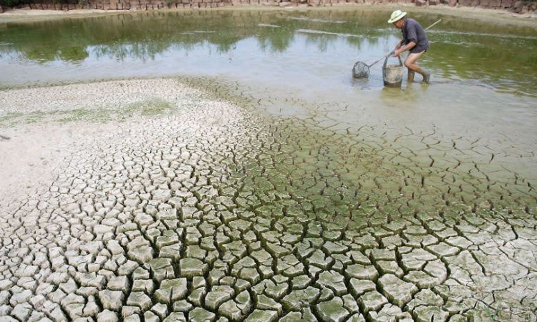 Biến đổi khí hậu gây hậu quả nghiêm trọng đến nông nghiệp.