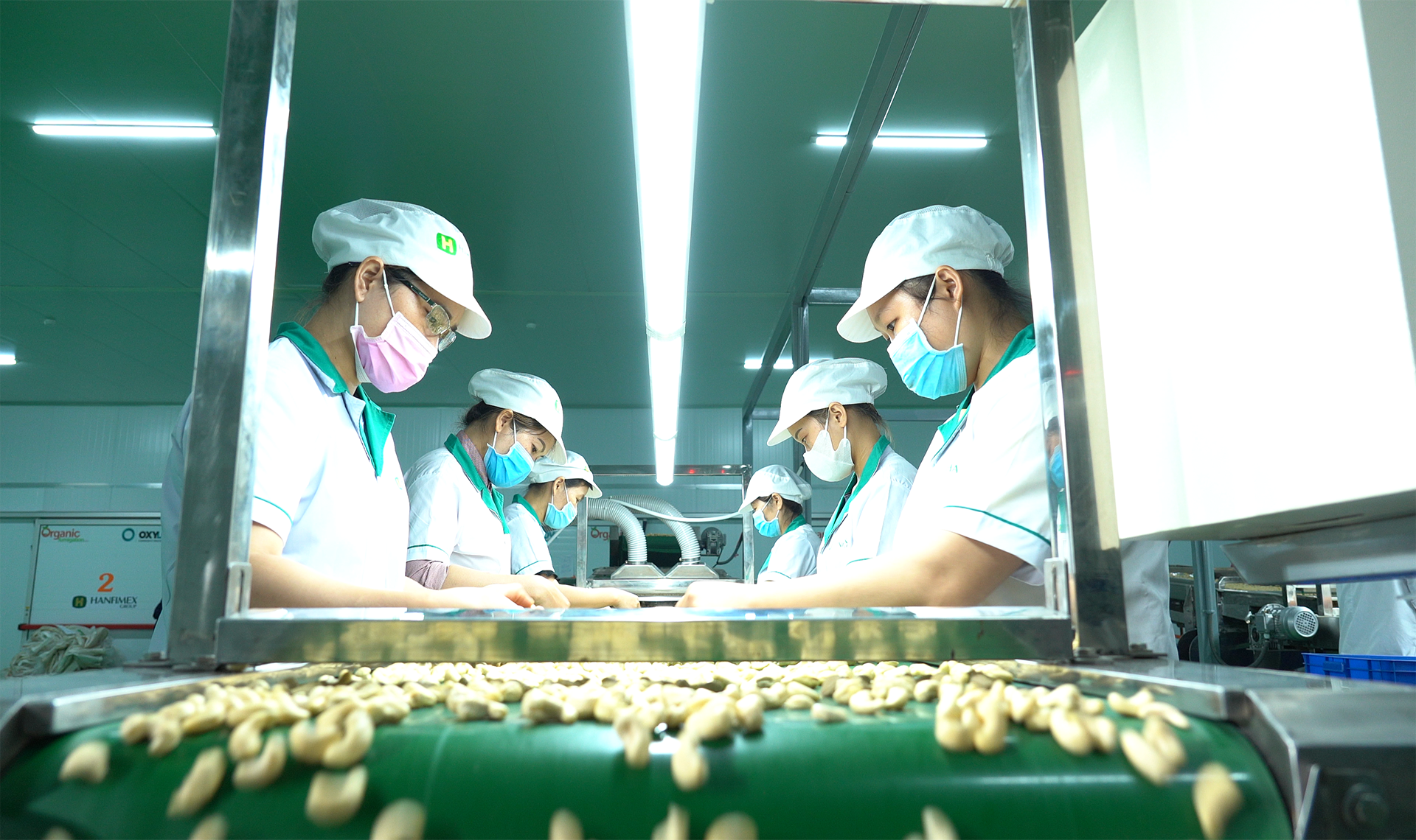 Khi EVFTA c&oacute; hiệu lực, thuế suất một số loại rau quả của Việt Nam v&agrave;o EU được giảm về 0%, đ&acirc;y l&agrave; lợi thế cạnh tranh rất lớn so với c&aacute;c nước trong khu vực.