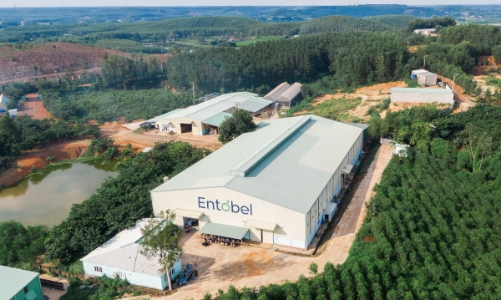 Mekong Capital và Dragon Capital rót 30 triệu USD vào startup chế biến thức ăn chăn nuôi từ ruồi