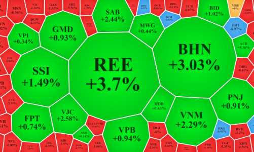 Tiền vào bắt đáy giá thấp, vốn ngoại cũng nhanh tay “cướp hàng”
