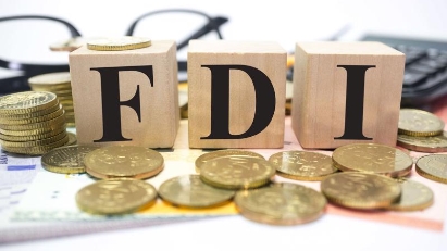 Solutions offered to boost FDI attraction