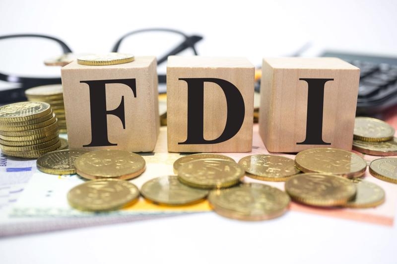 Solutions offered to boost FDI attraction
