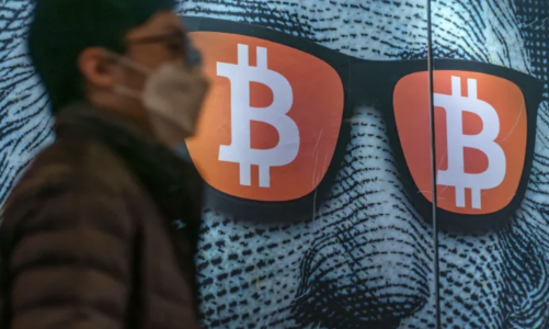 Bitcoin thủng mốc 30.000 USD, 40% nhà đầu tư đang “xa bờ”