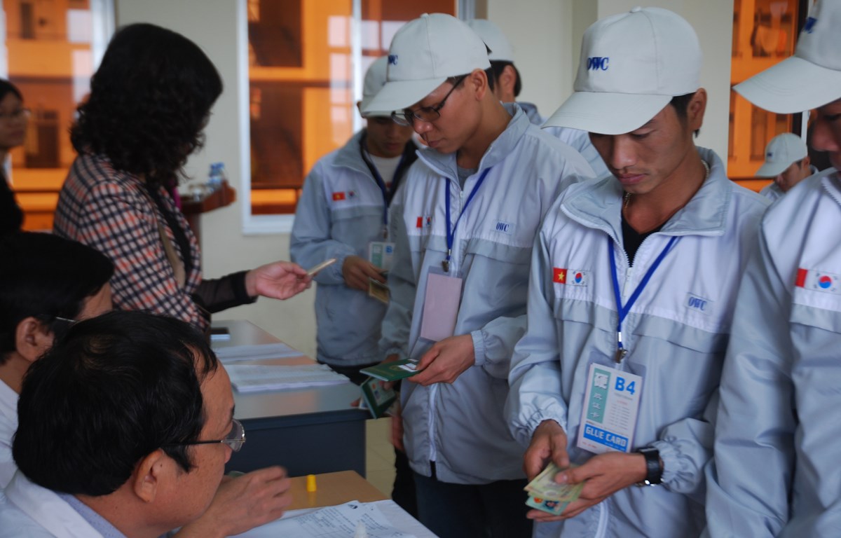 Ảnh minh họa. 
