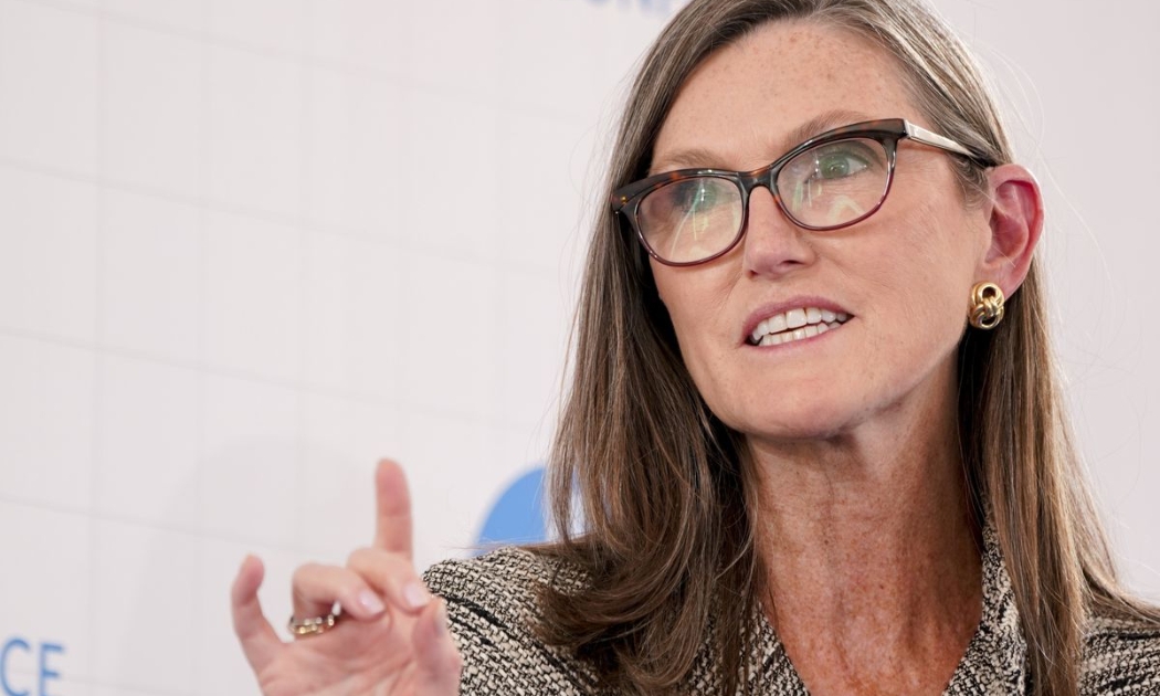 Nhà quản lý quỹ Cathie Wood - Ảnh: Bloomberg.