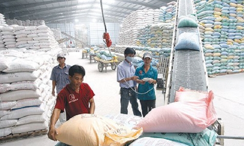 Xuất khẩu gạo cán mốc 1 tỷ USD, dự báo sẽ còn nhiều đột phá