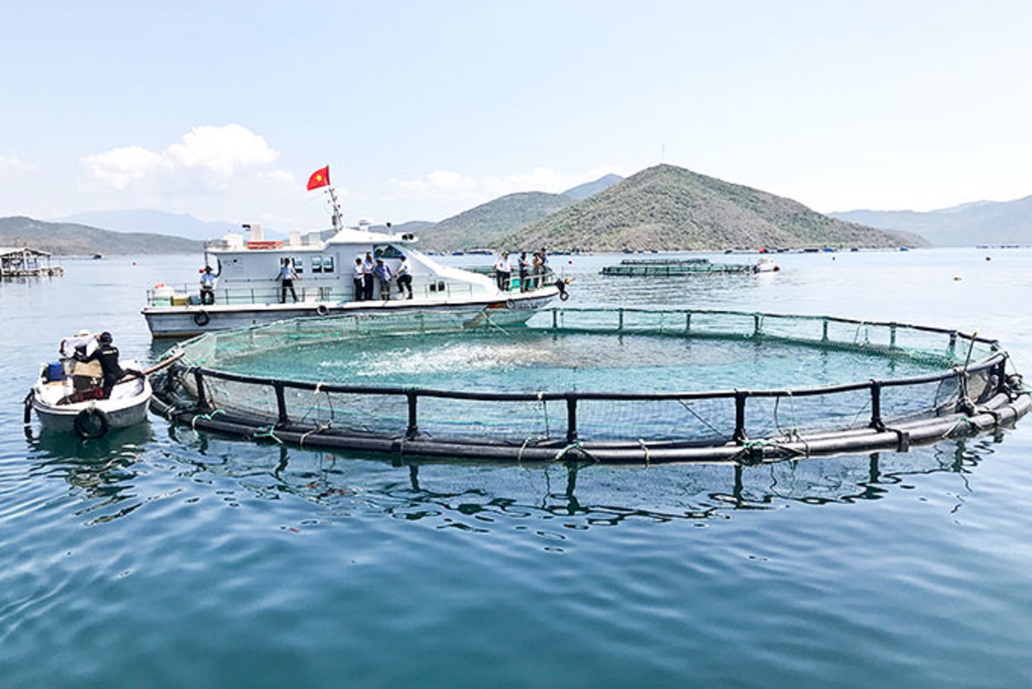Nuôi biển nhiều dư địa để phát triển.