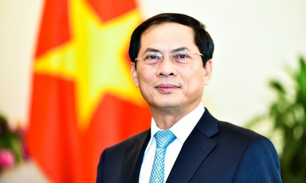 Bộ trưởng Bộ Ngoại giao Bùi Thanh Sơn - Ảnh: VGP