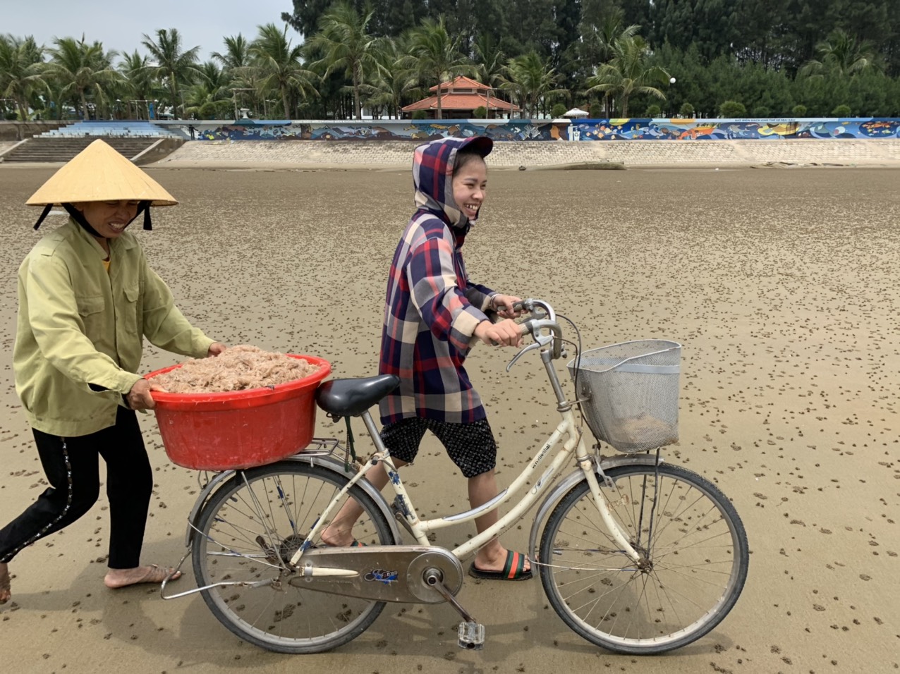Ngay sau khi tép moi được làm sạch, thương lái đã ra tận bãi để thu mua. Công việc của những ngư dân te tép thường tạm ngưng khi biển thời tiết quá khắc nghiệt như nắng nóng hoặc biển động. 