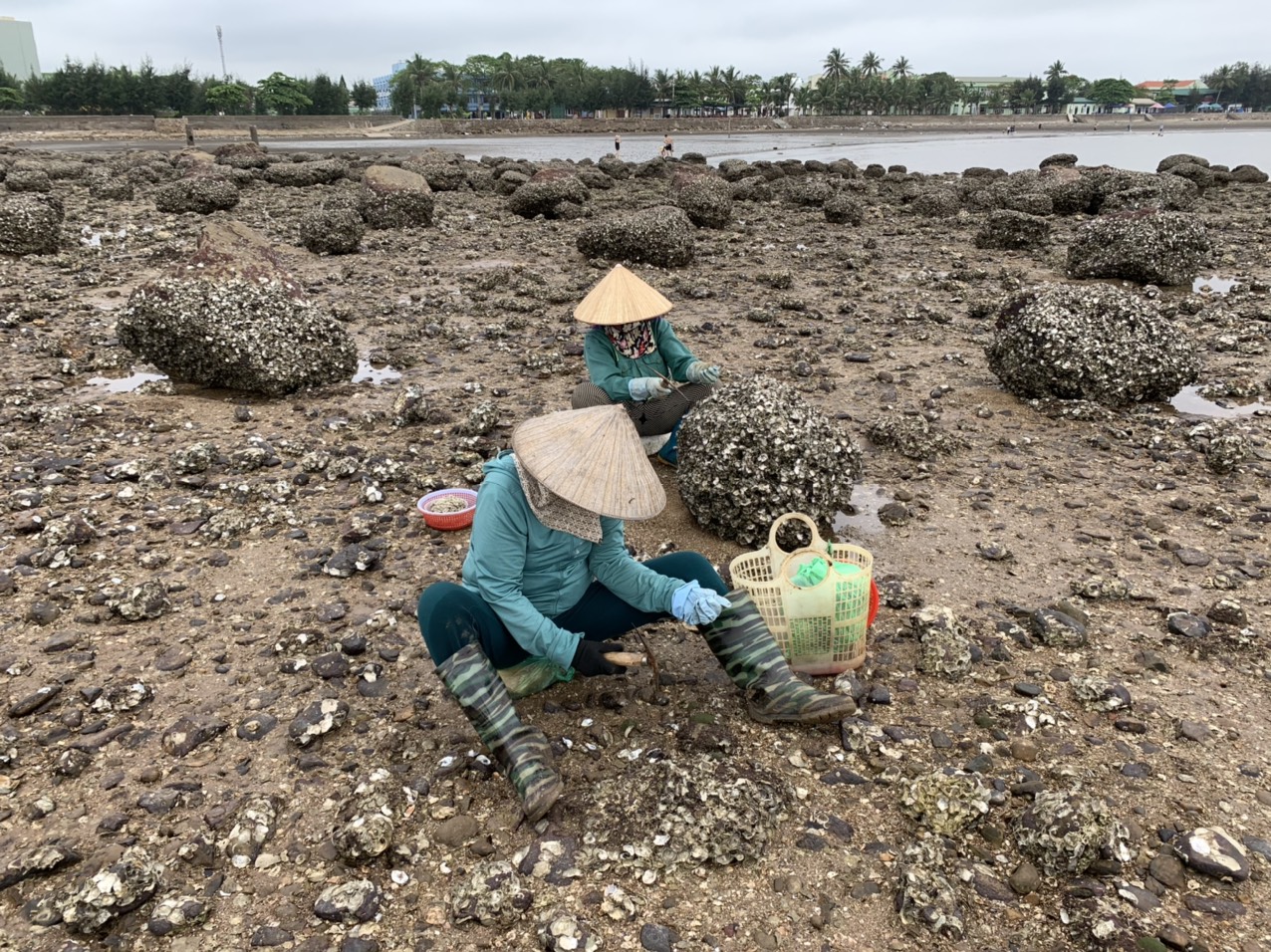 Mỗi ngày nếu đẽo chăm chỉ, mỗi người có thể kiếm được từ 300.000đ đến 400.000đ. Nhưng có những ngày hàu óp, không chắc thì kiếm được ít hơn. Nhìn chung công việc không nặng nhọc nhưng thường phải ngồi cả ngày, rất mệt khi trời nắng nóng. 