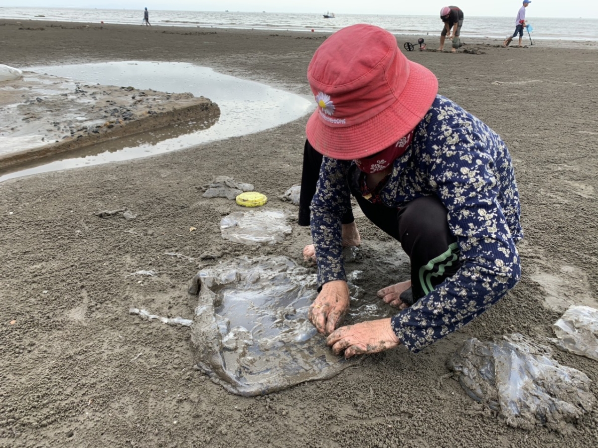 T&igrave;m sứa dạt v&agrave;o b&atilde;i biển, sau đ&oacute; xả thịt lấy những phần ngon nhất để b&aacute;n cho nh&agrave; h&agrave;ng hoặc đem về chế biến m&oacute;n ăn cho gia đ&igrave;nh, l&agrave; c&ocirc;ng việc kh&aacute; phổ biến ở nhiều v&ugrave;ng biển Việt Nam.&nbsp;