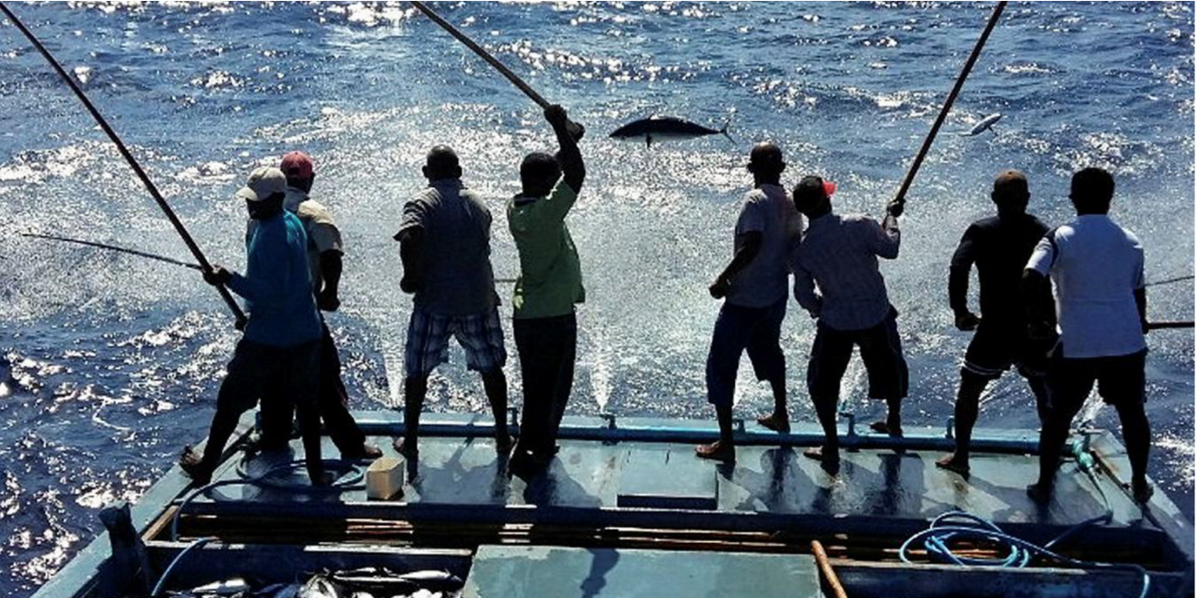 B&igrave;nh Định đang quyết t&acirc;m ph&aacute;t triển đa dạng c&aacute;c sản phẩm du lịch với 3 trụ cột ch&iacute;nh l&agrave;: biển đảo, văn h&oacute;a - lịch sử v&agrave; khoa học.