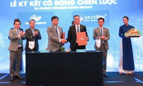 Ông lớn ngành gỗ và “thế cờ” M&A