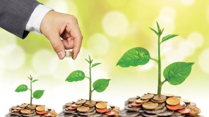 AFD looking to develop green financing