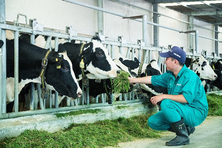 Với những tiềm năng phát triển trong tương lai, mảng sữa vẫn là lĩnh vực kinh doanh trọng tâm của Vinamilk. Ảnh: Vinamilk.