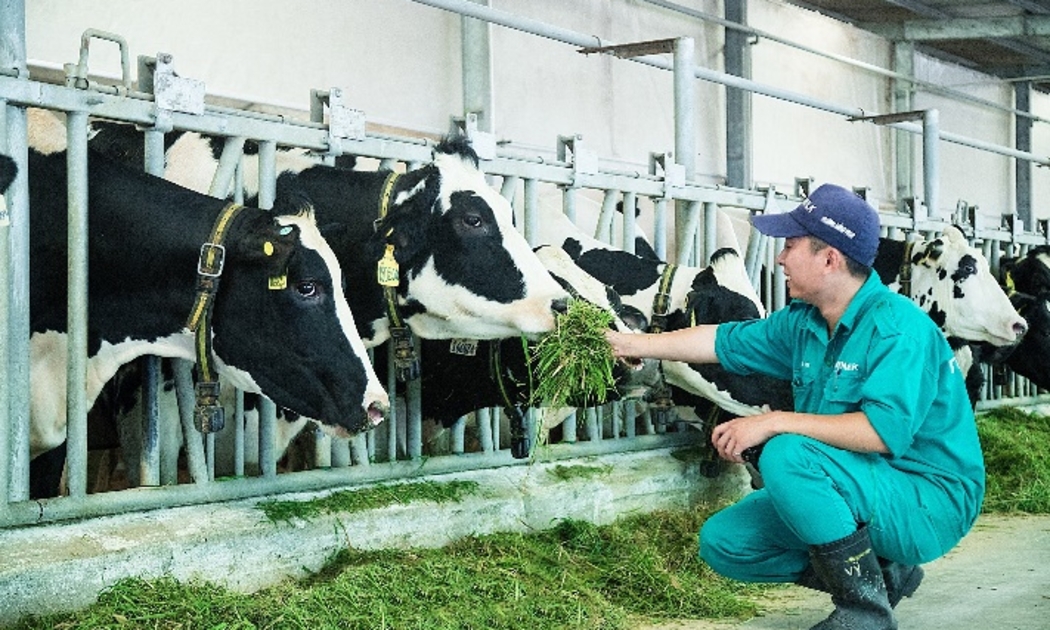 Với những tiềm năng phát triển trong tương lai, mảng sữa vẫn là lĩnh vực kinh doanh trọng tâm của Vinamilk. Ảnh: Vinamilk.