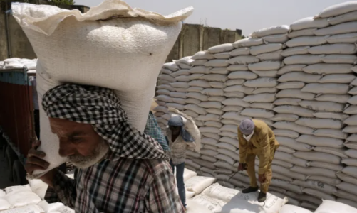 Không chỉ Ấn Độ, nhiều quốc gia khác cũng đang hạn chế xuất khẩu lương thực vì lo thiếu cung