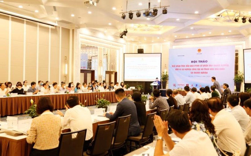 Solutions needed to boost SOE equitization and divestment