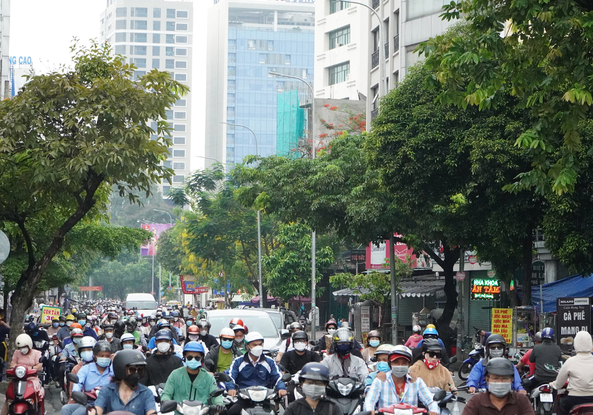 Các cao ốc 