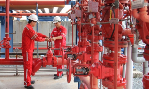 NT2 đặt mục tiêu lợi nhuận sau thuế 468 tỷ đồng năm 2022, cổ tức 15% 