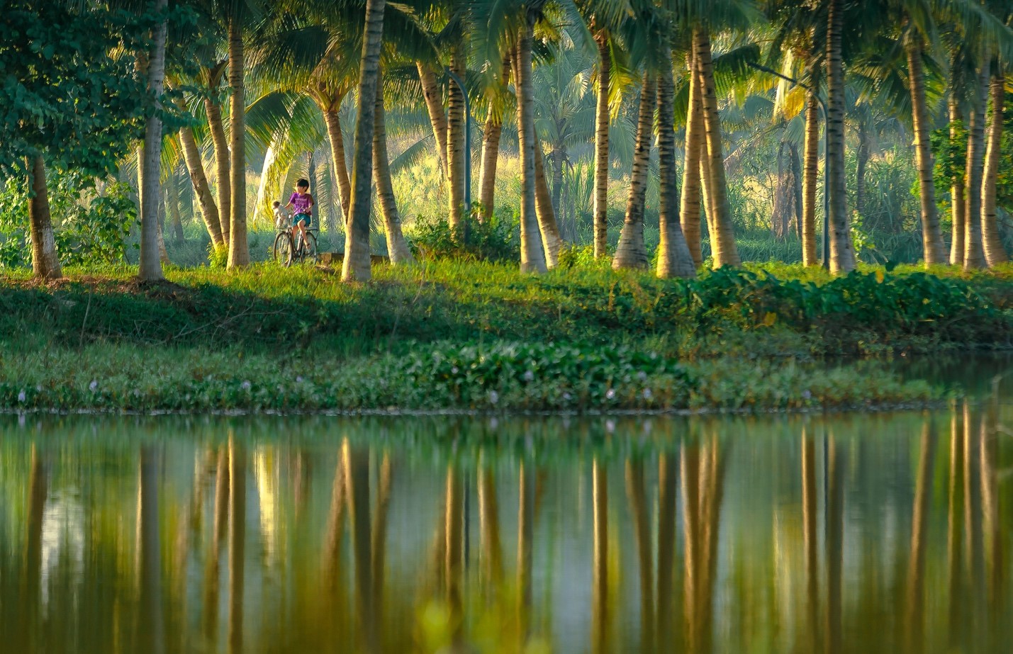 Không gian sống xanh giúp trẻ em vui vẻ hơn.