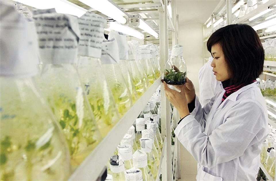 Khoa học đóng góp lớn vào tăng trưởng nông nghiệp.