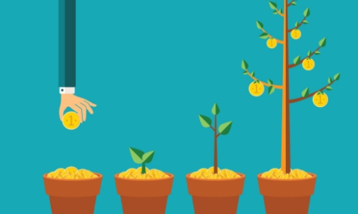 Startup Việt True Platform được rót 3,5 triệu USD ngay từ vòng hạt giống